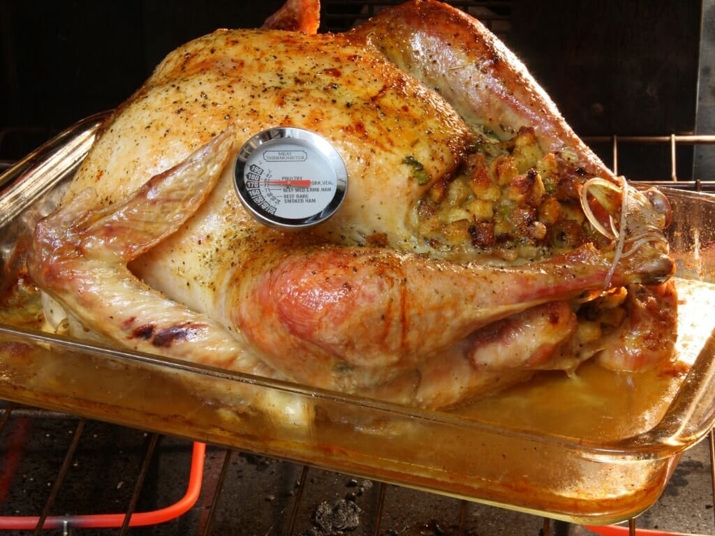Thermomètre de cuisson et dinde