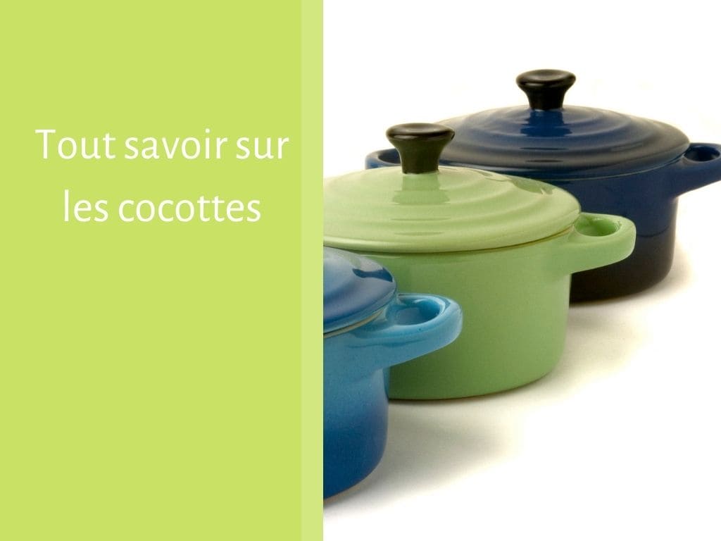 Tout savoir sur les cocottes